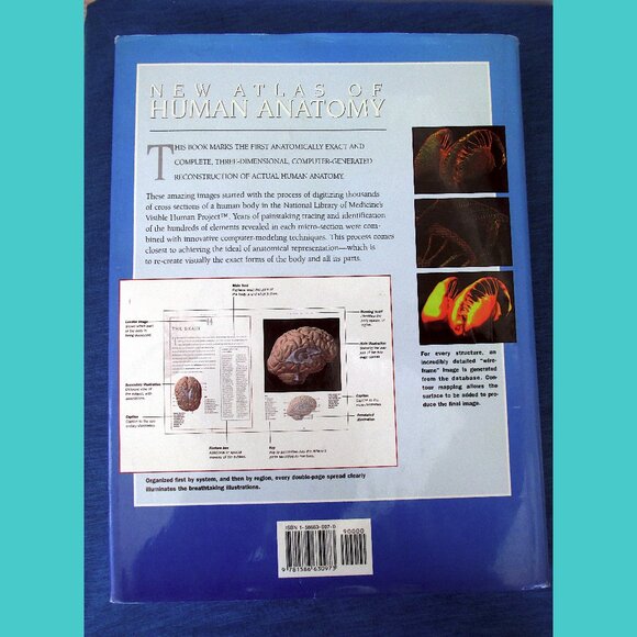 Book: New Atlas of Human Anatomy, Editor Thomas McCracken - Picture 16 of 16